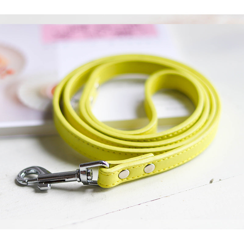 Adjustable Pet Leash And Collar Set Durable Walking Accessory