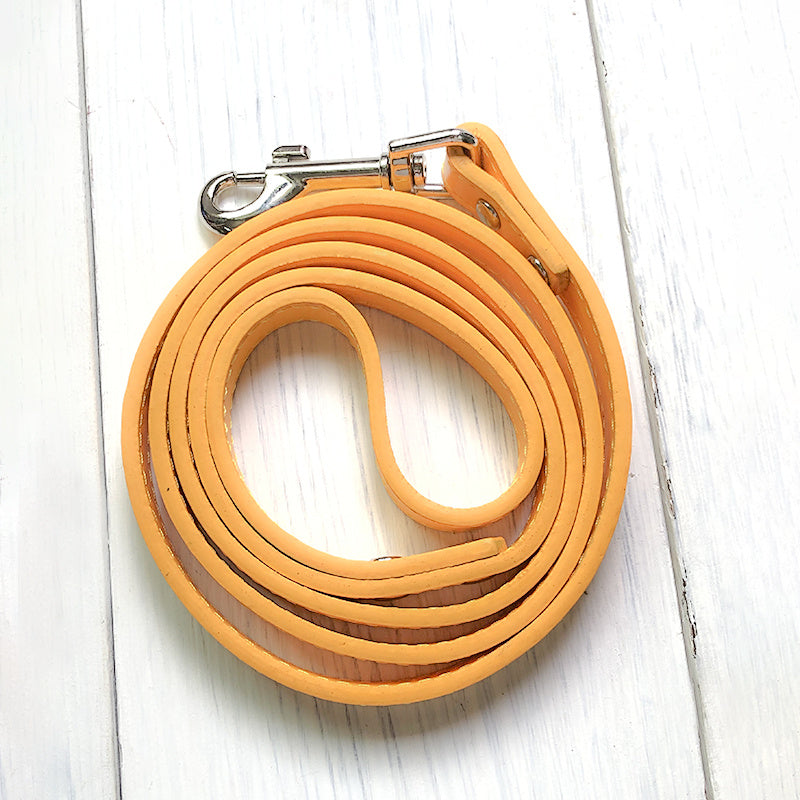 Adjustable Pet Leash And Collar Set Durable Walking Accessory