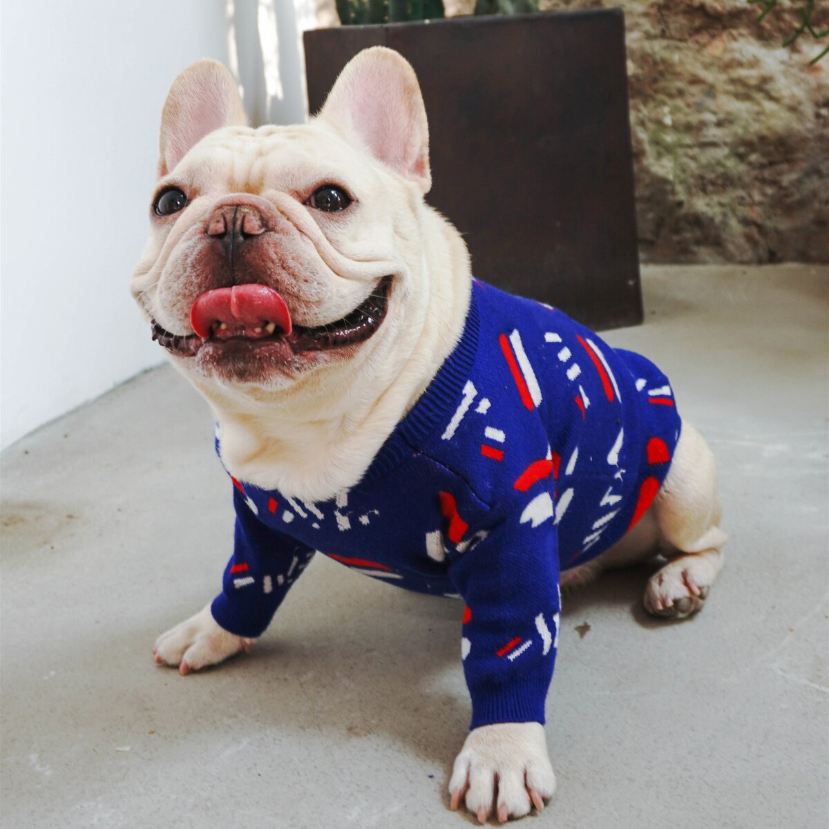 Warm Pet Sweater Cozy Comfortable Everyday Wear