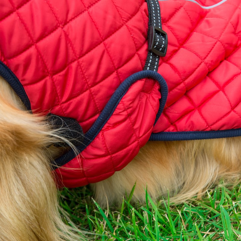 Adjustable Warm Pet Cotton Jacket Cozy Winter Wear
