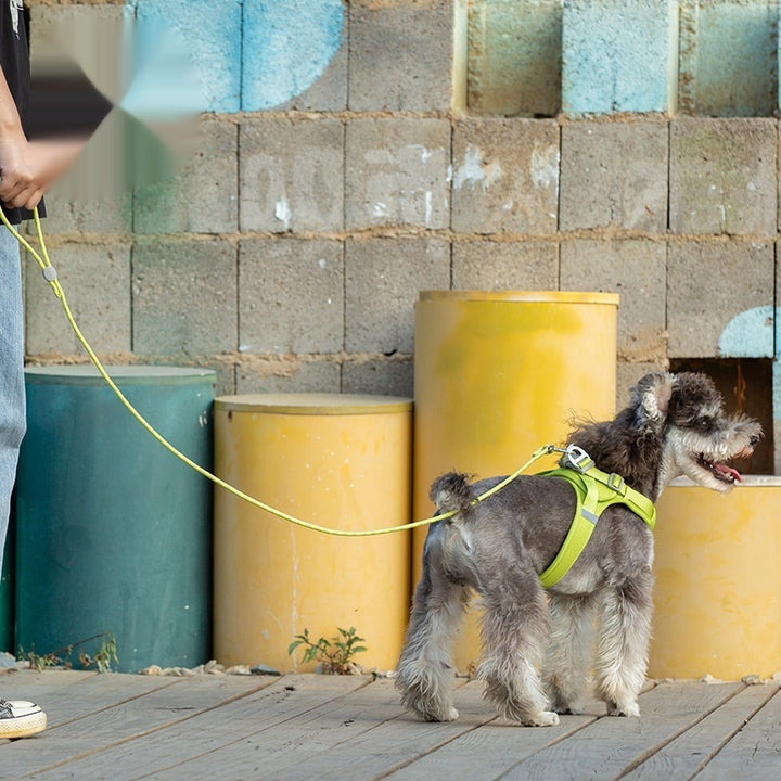 Colorful Adjustable Sliding Pet Leash Durable Comfortable Walking Lead