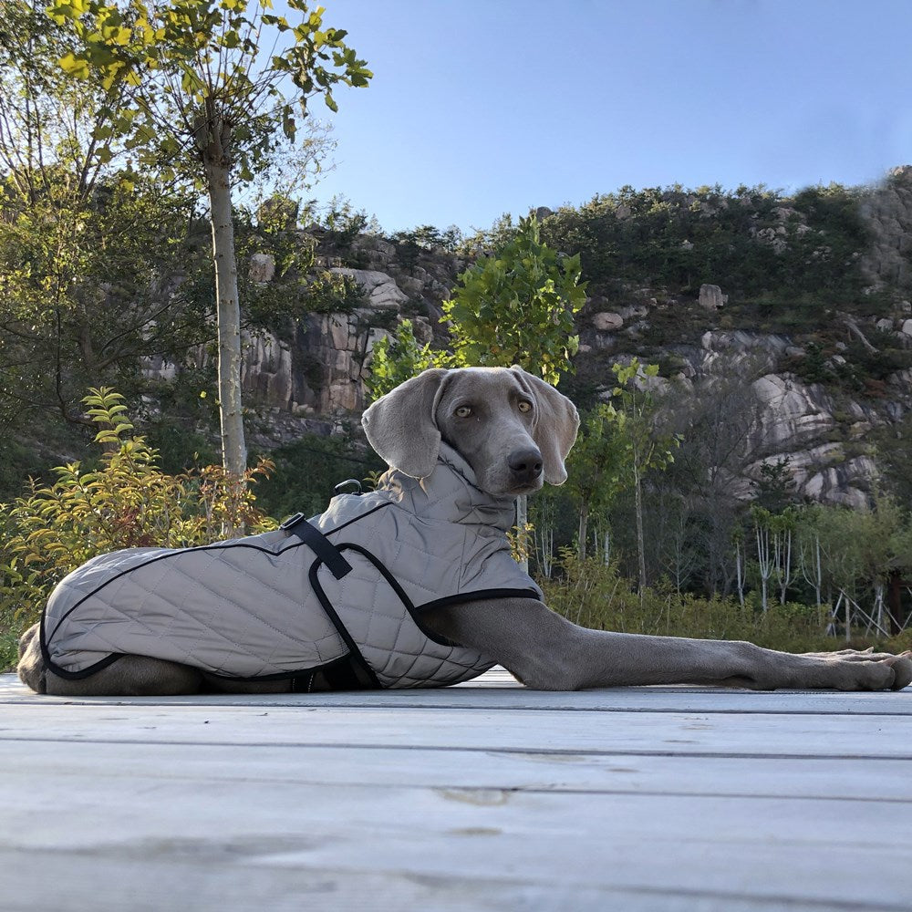 Pet Reflective Tactical Full Body Jacket Vest