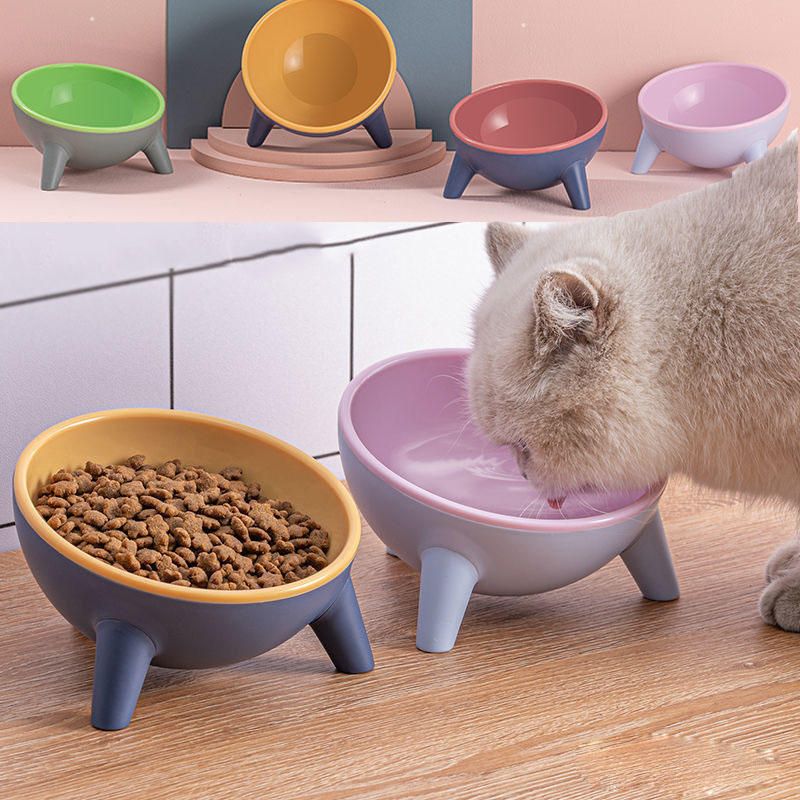 Pet Feeding Bowl With Stand Nordic Style Food Dish