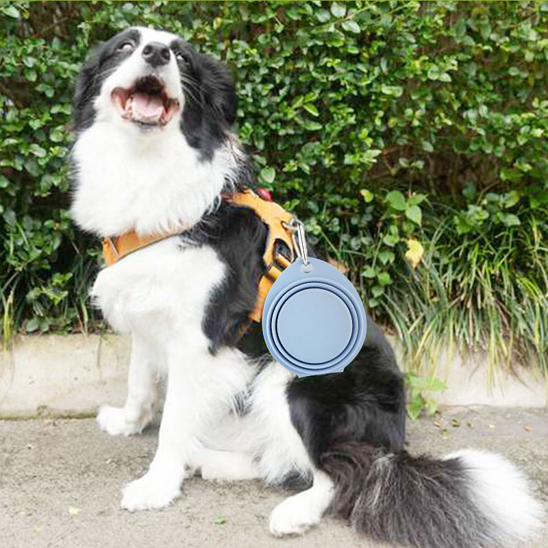 Portable Foldable Silicone Pet Feeding Bowl Outdoor Use