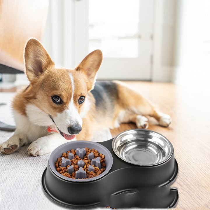 Removable Pet Slow Feeding Bowl Anti Gulp Food Dish