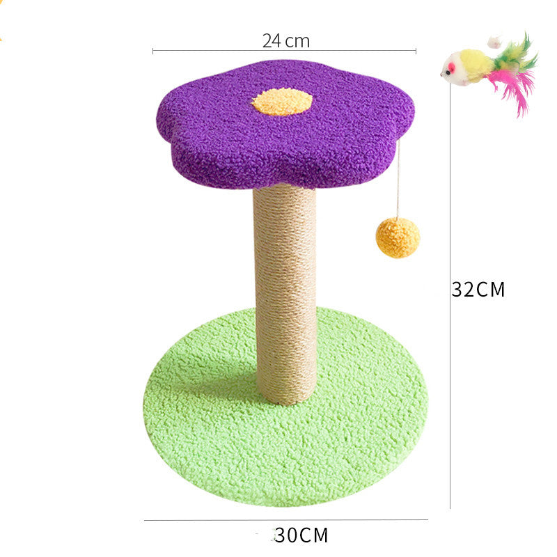 Claw Grinding Interactive Teasing Pet Toy