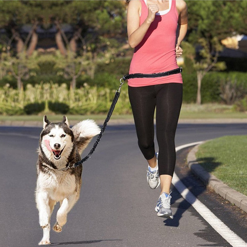 Adjustable Pet Harness And Leash Set Jogging Walking Gear