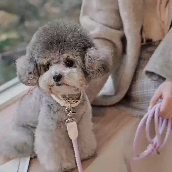 Leather Handheld Pet Collar Rope Lead For Small And Medium Pets