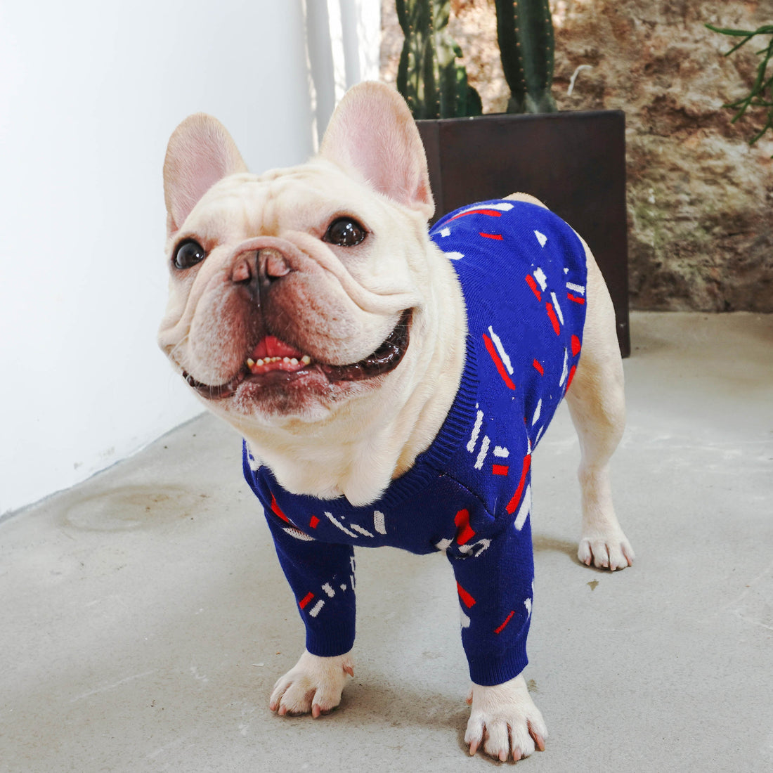 Warm Pet Sweater Cozy Comfortable Everyday Wear