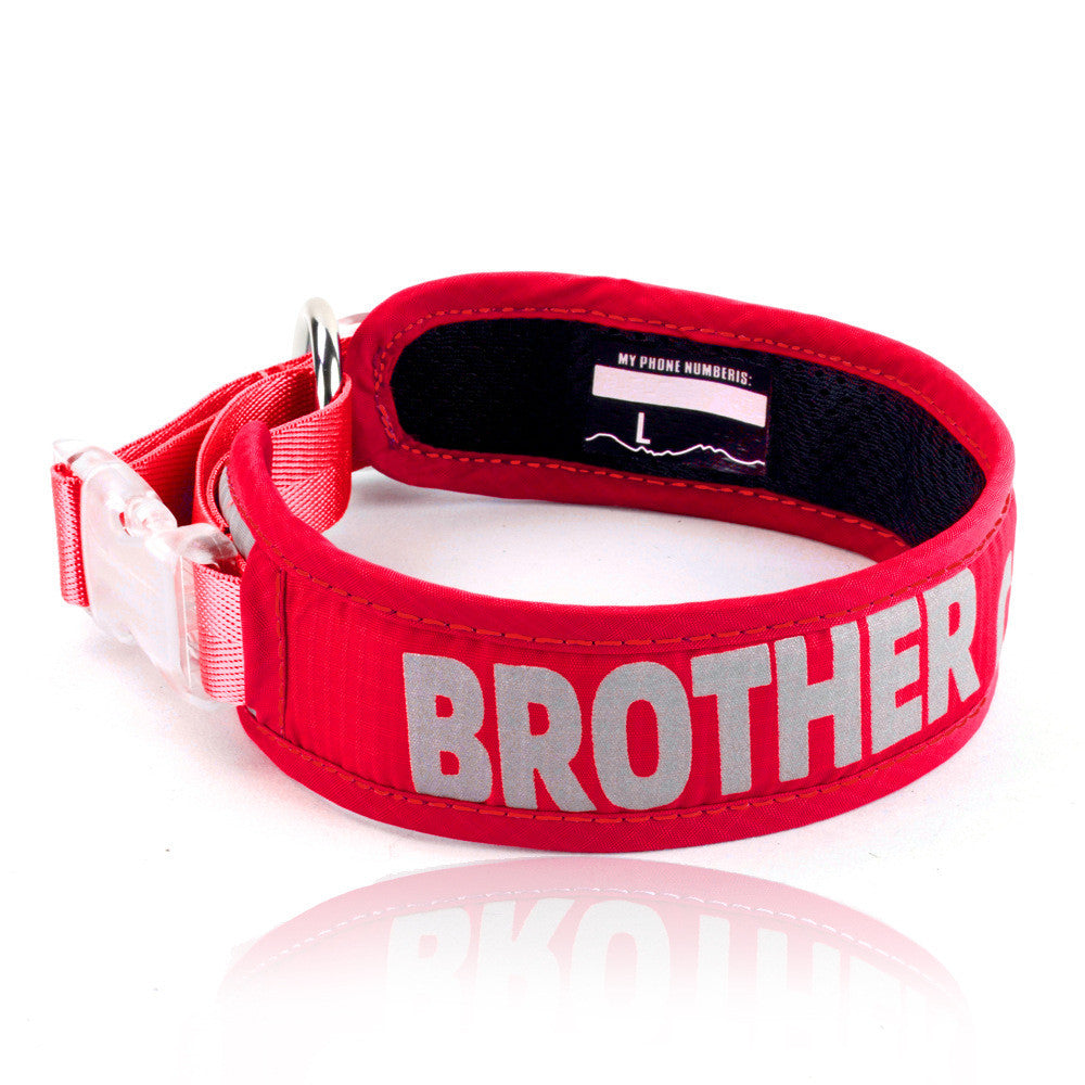 Explosion Proof Chest Strap Storage Pet Leash Bag
