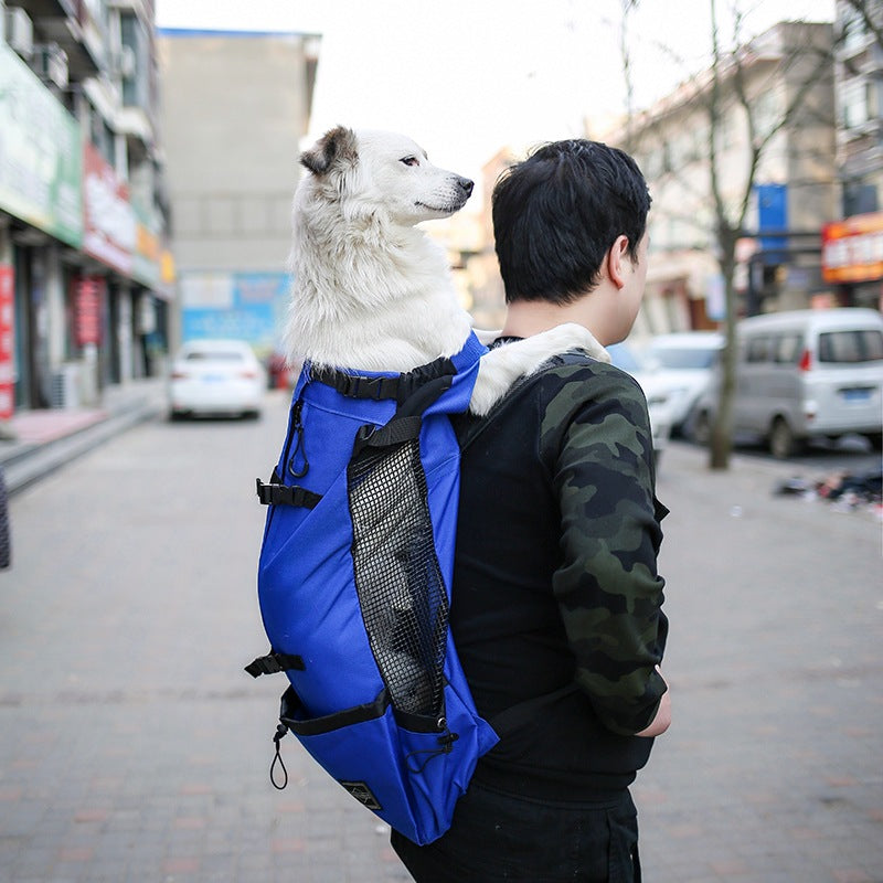 Pet Carrier Backpack Double Shoulder Travel Bag