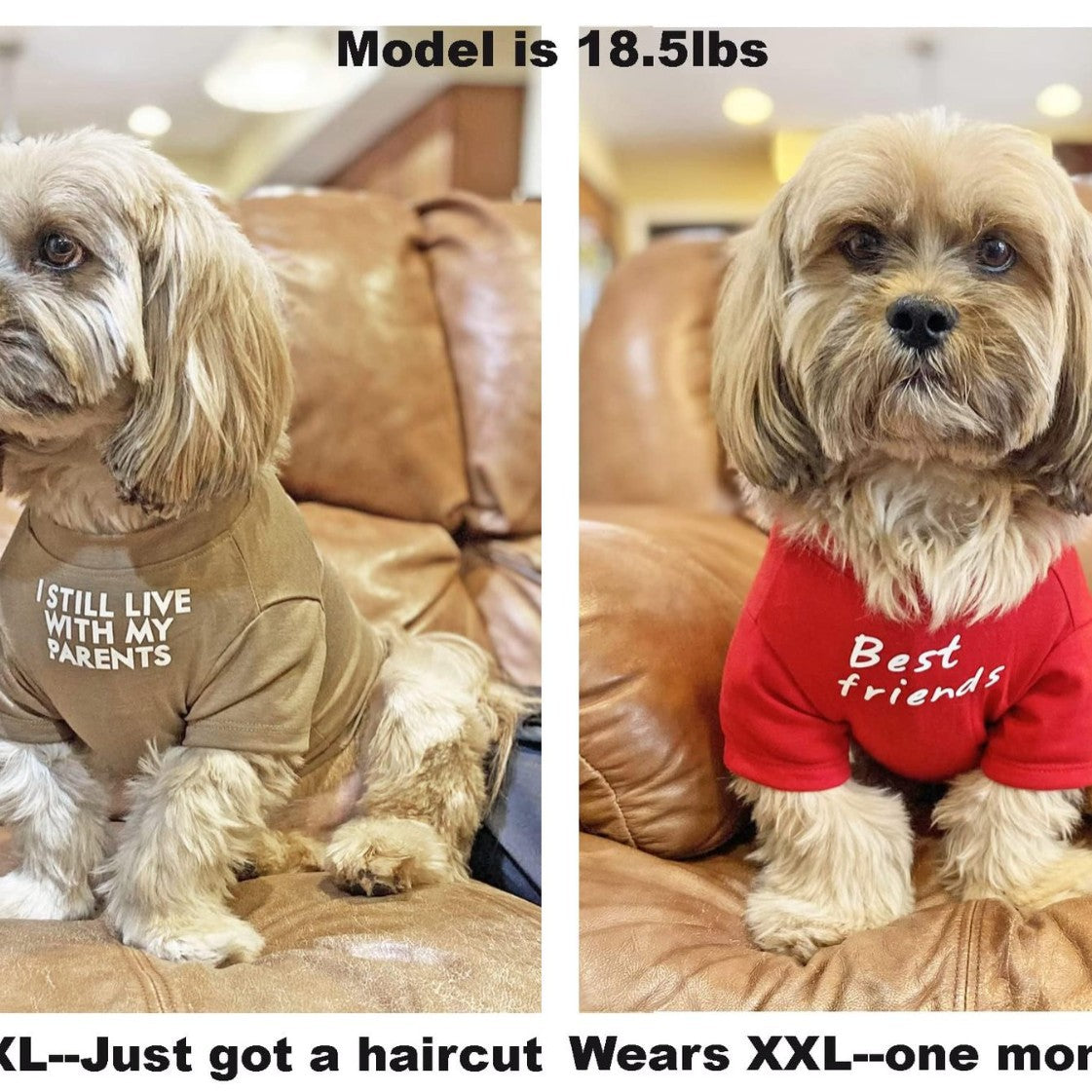 Round Neck Pet T Shirt Casual Comfortable Wear