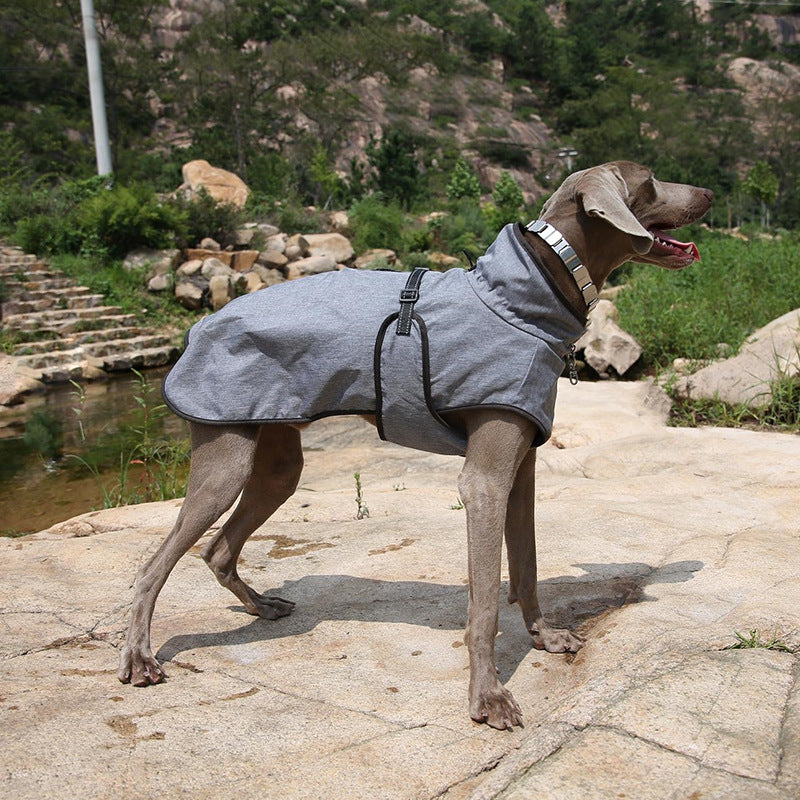 Winter Pet Shell Jacket Outdoor Ski Suit Warm Protection