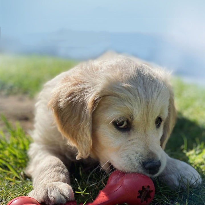 Bite Resistant Rubber Grinding Pet Toy