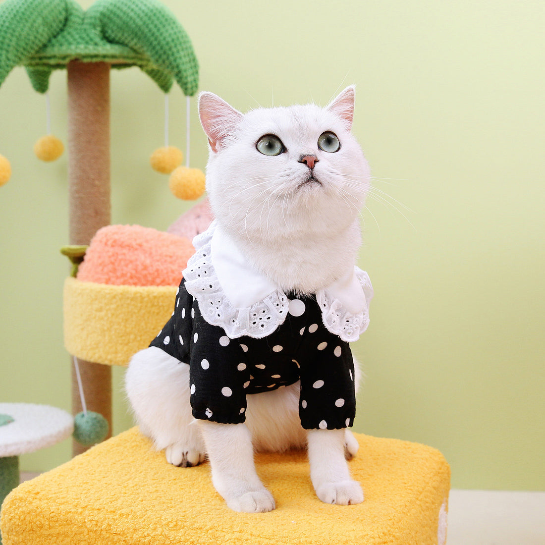 Blue Pet T Shirt Soft Comfortable Casual Wear