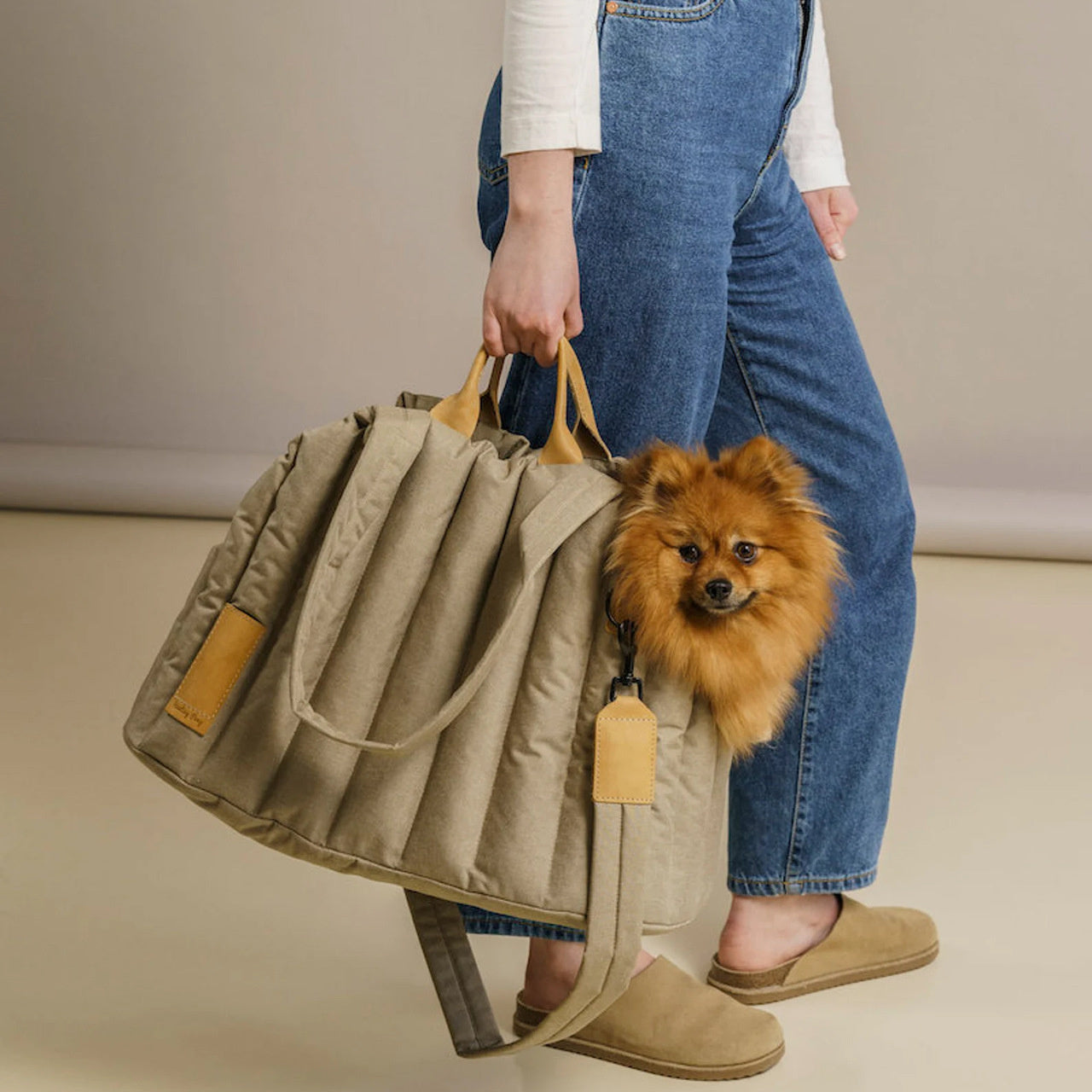 Pet Carrier Waterproof Portable Fashion Handbag Bag
