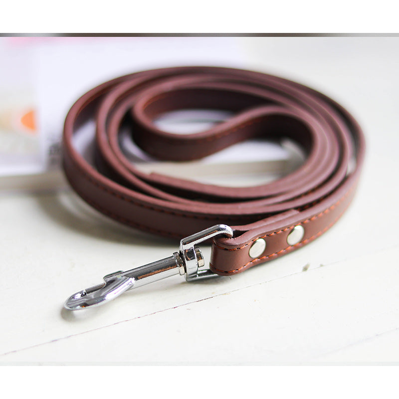 Adjustable Pet Leash And Collar Set Durable Walking Accessory