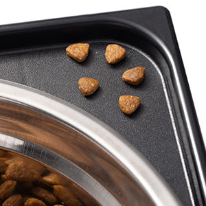 Anti Tumble Pet Feeding Bowl With Neck Support Stand