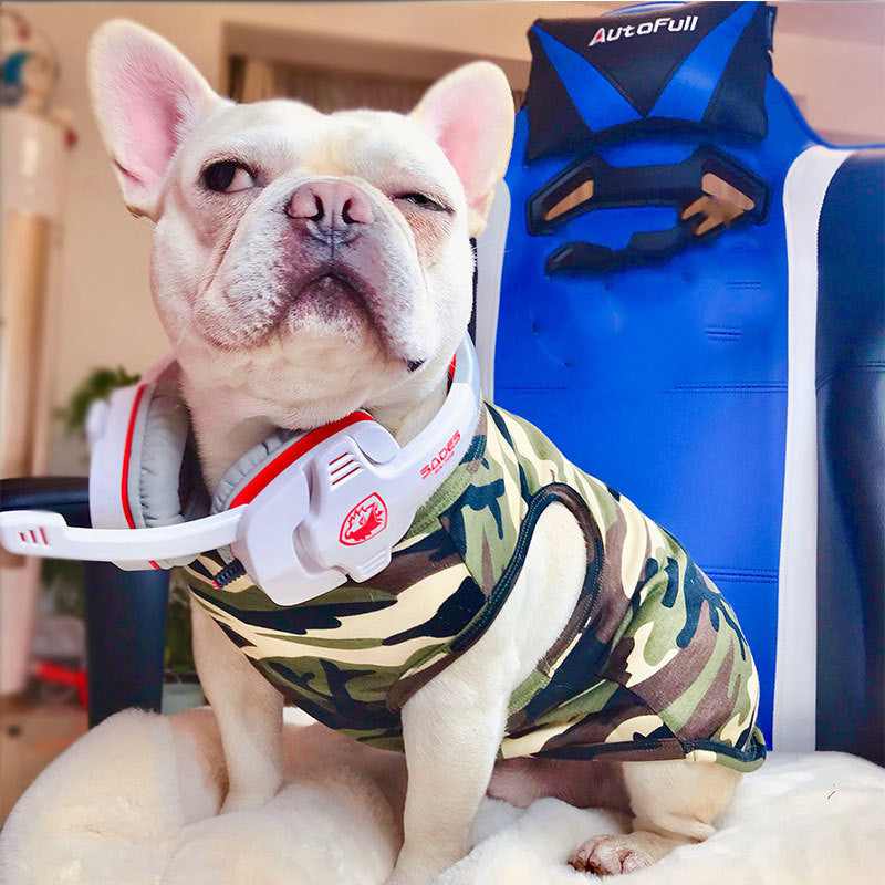 Fashion Pet Summer T Shirt Lightweight Casual Wear
