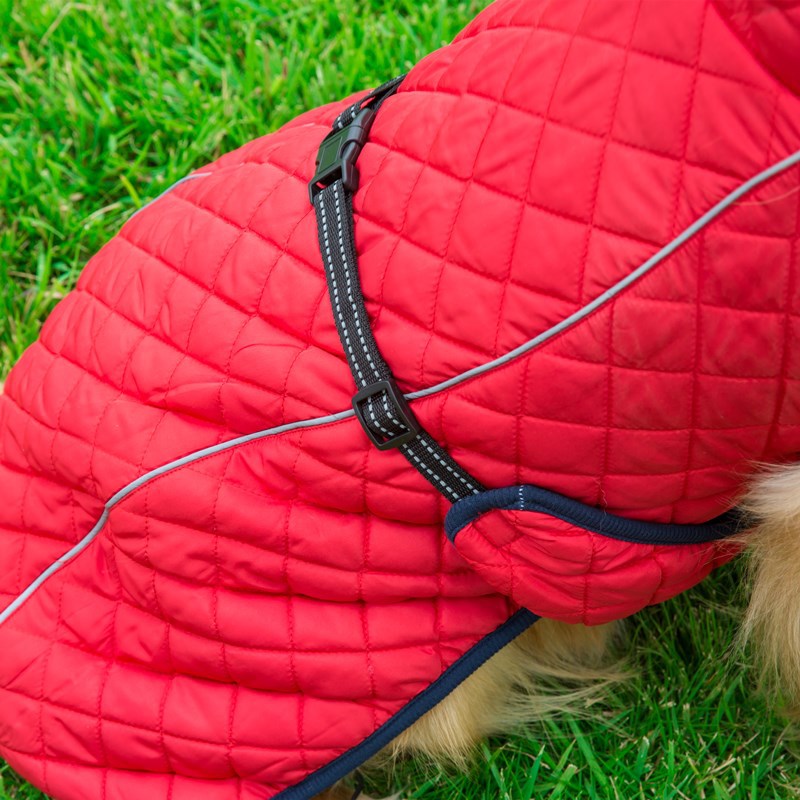 Adjustable Warm Pet Cotton Jacket Cozy Winter Wear