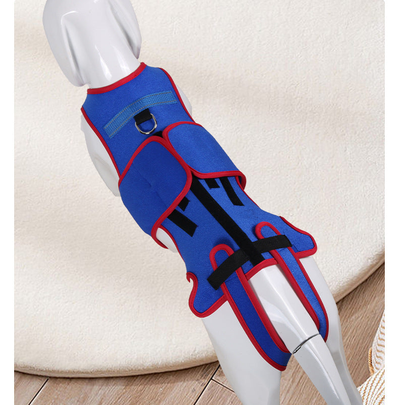Pet Spine Support Jacket For Posture Correction Comfort