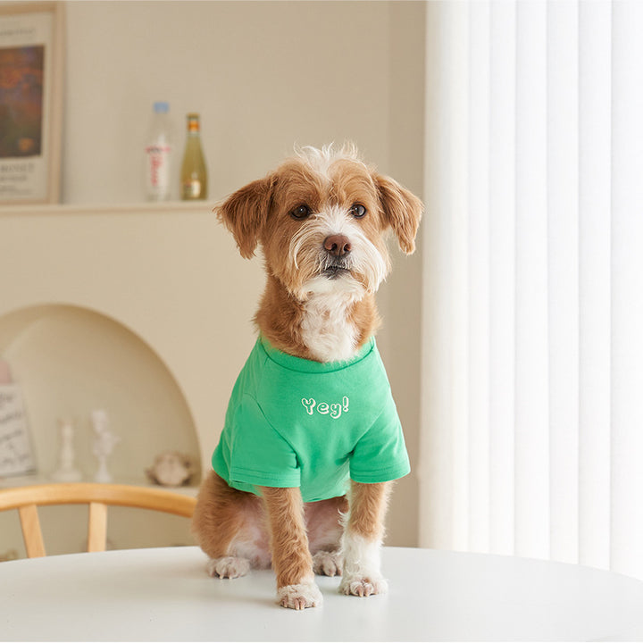 Korean Style Cotton Printed Short Sleeve Pet T-Shirt