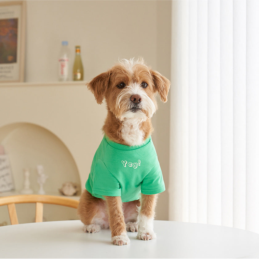 Korean Style Cotton Printed Short Sleeve Pet T-Shirt