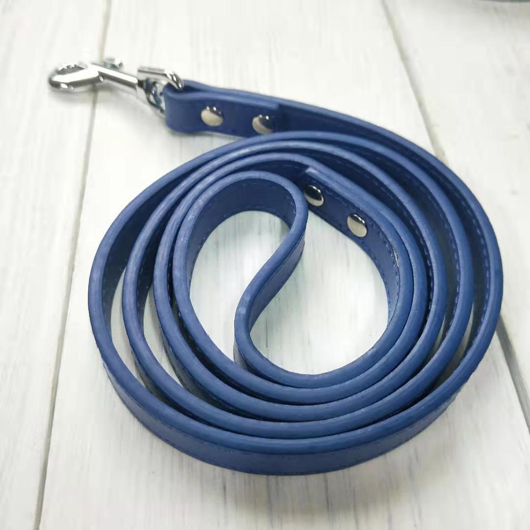 Adjustable Pet Leash And Collar Set Durable Walking Accessory