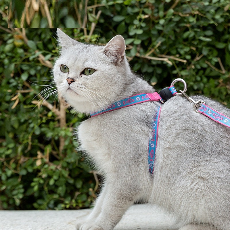 Pet Bell Chest Strap Vest Leash Rope Harness