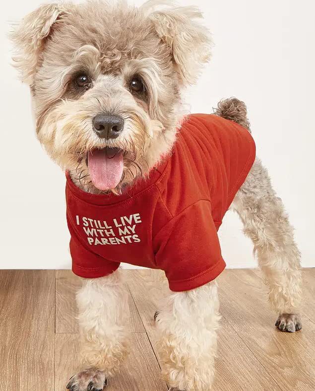 Round Neck Pet T Shirt Casual Comfortable Wear