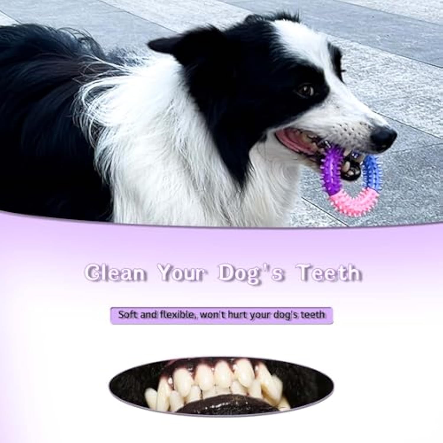 Rubber Ring Chew Teething Toy For Pets