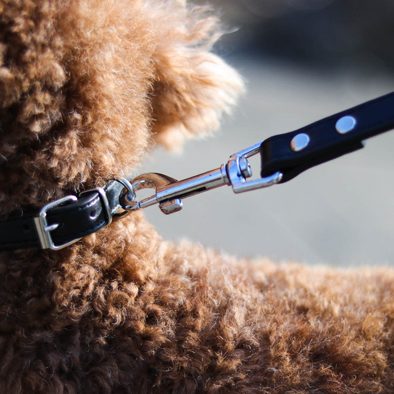 Adjustable Pet Leash And Collar Set Durable Walking Accessory