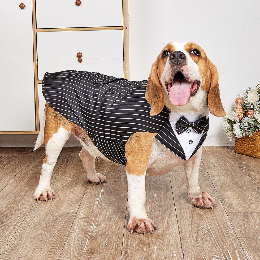 Formal Pet Swallowtail Suit Jacket Elegant Occasion Wear