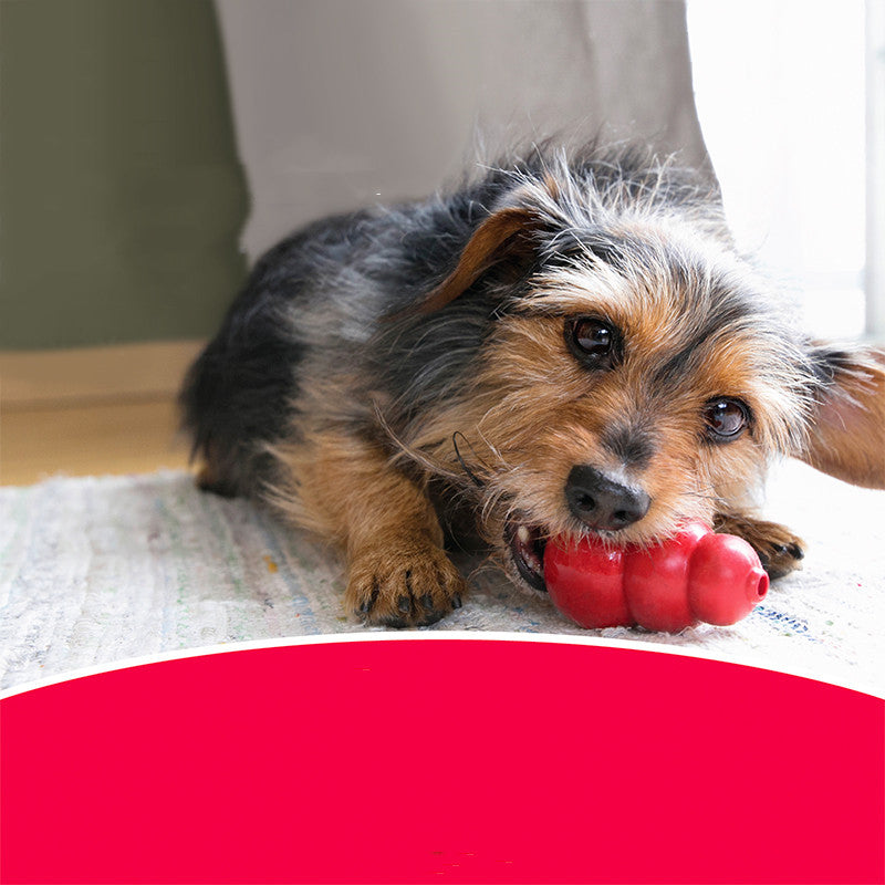 Bite Resistant Rubber Grinding Pet Toy