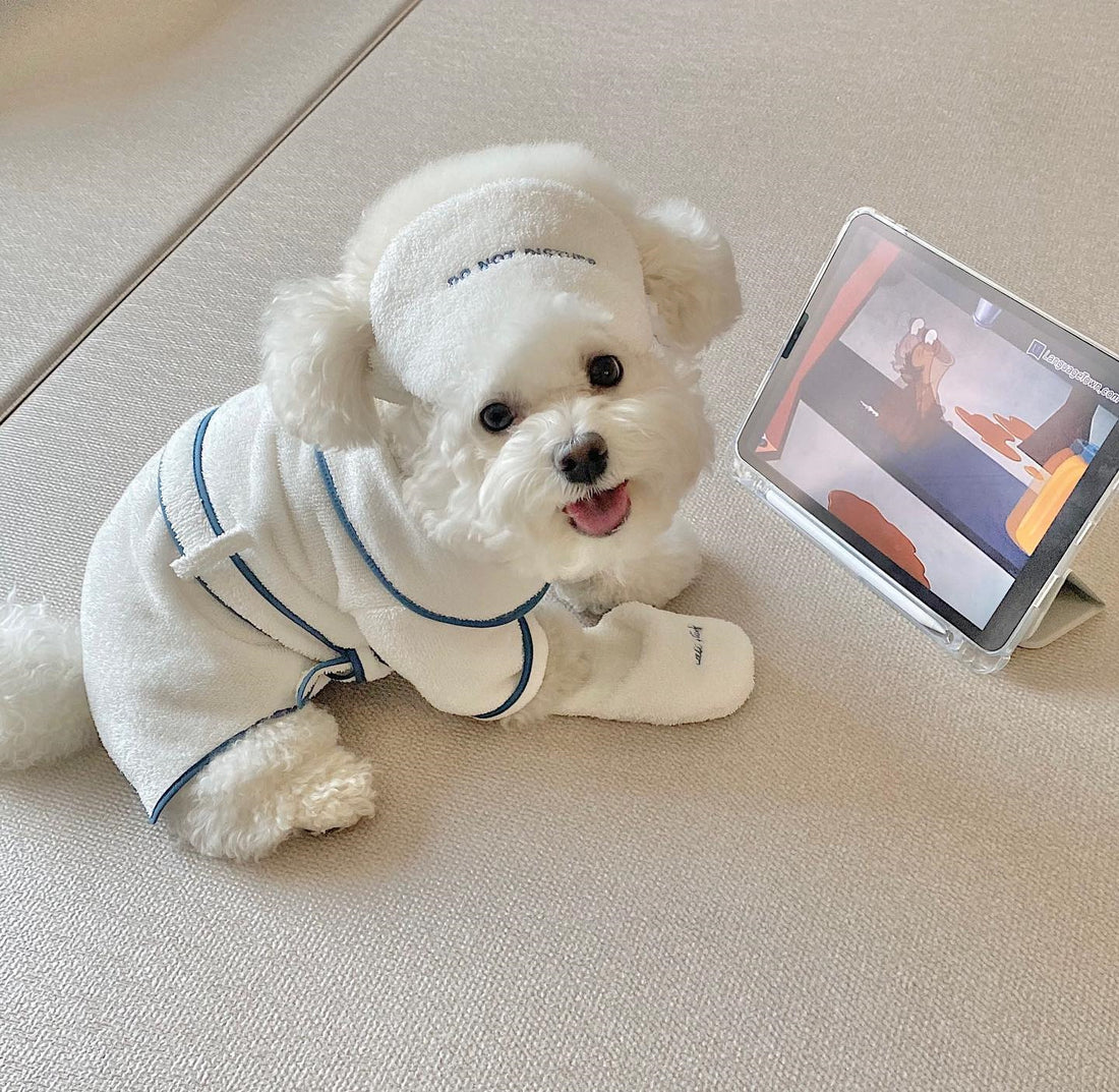 Pet Bathrobe Towel Photo Props