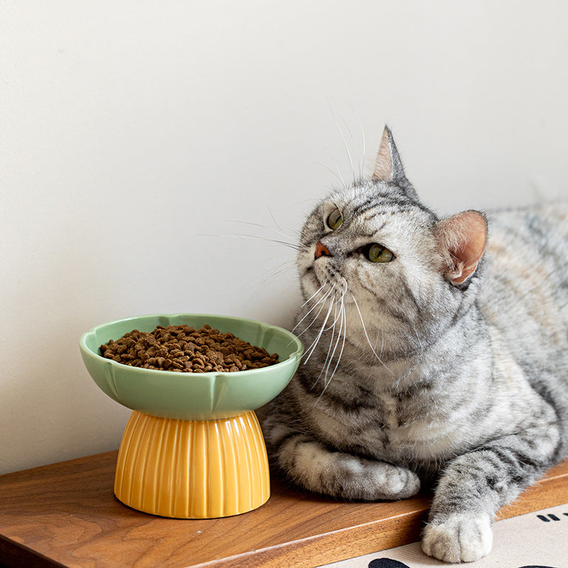 Macaron Color Ceramic Pet Feeding Bowl Food Dish