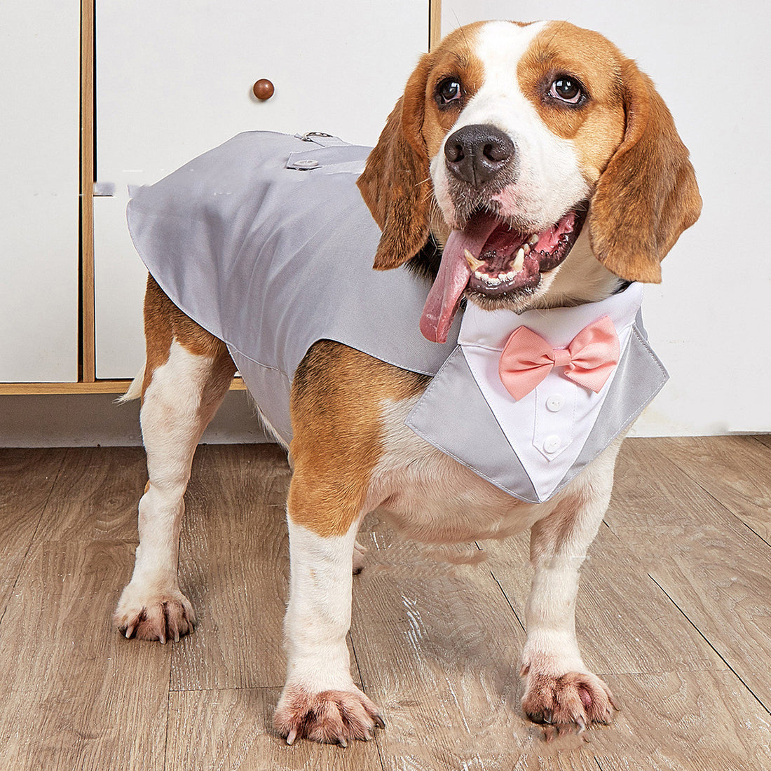 Formal Pet Swallowtail Suit Jacket Elegant Occasion Wear