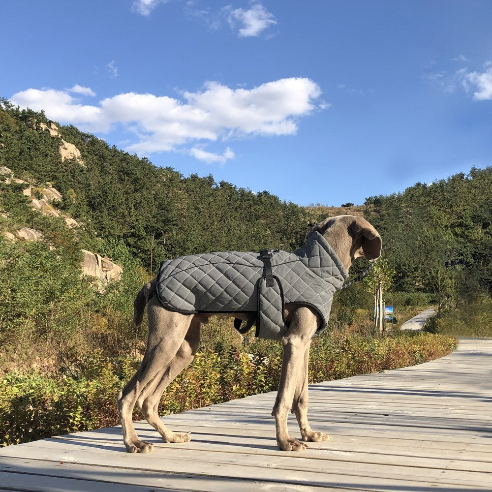 Pet Reflective Tactical Full Body Jacket Vest