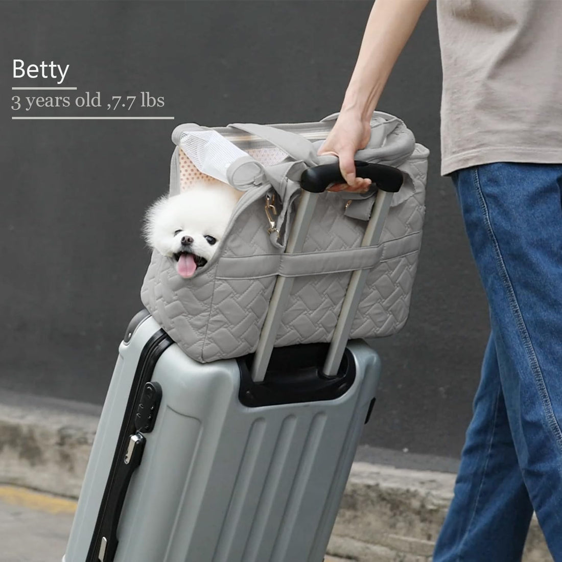 Pet Carrier Tote Breathable Mesh Soft Cushion Bag