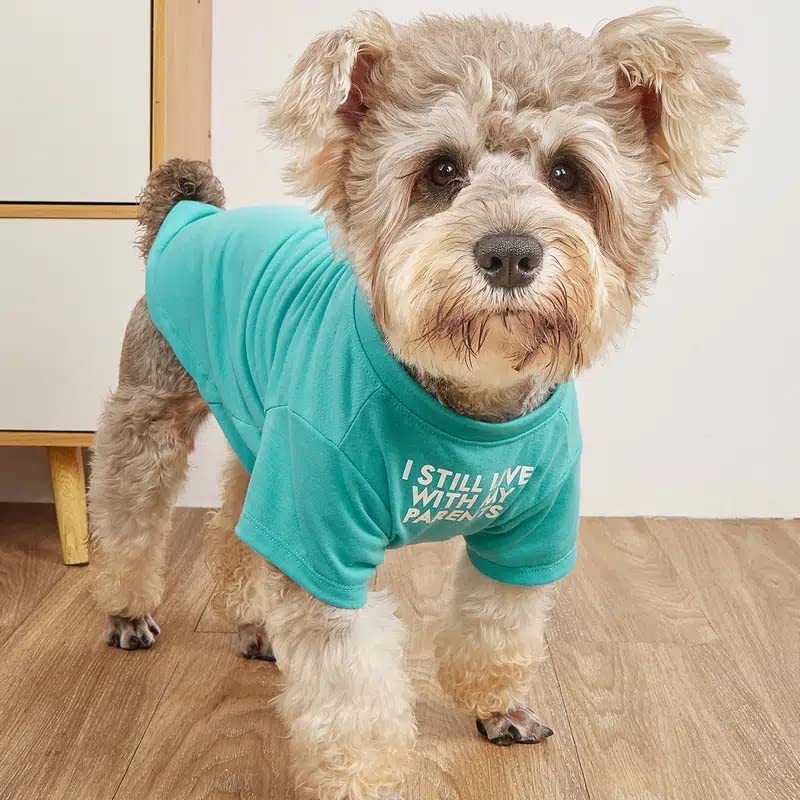 Round Neck Pet T Shirt Casual Comfortable Wear