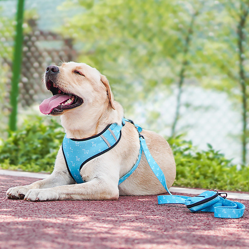 Bow Style Pet Harness Leash Set