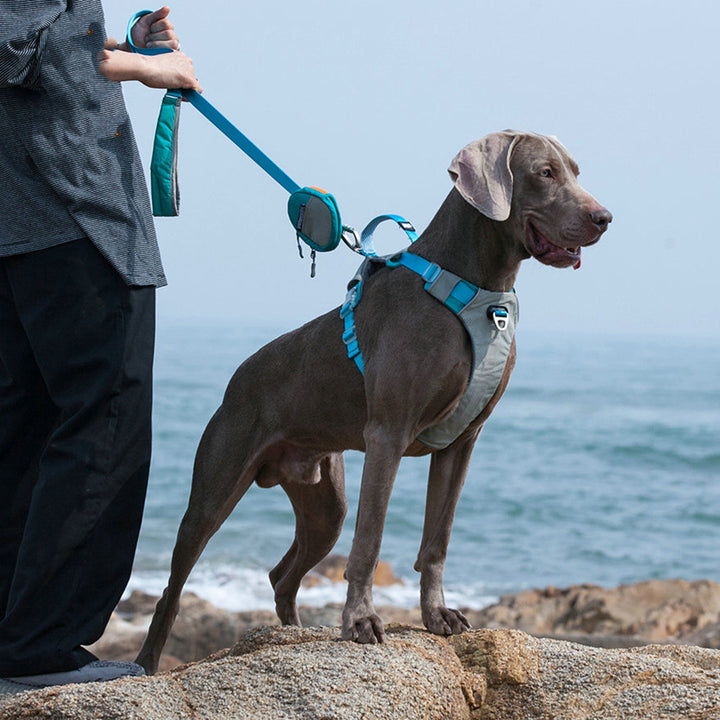 Explosion Proof Chest Strap Storage Pet Leash Bag