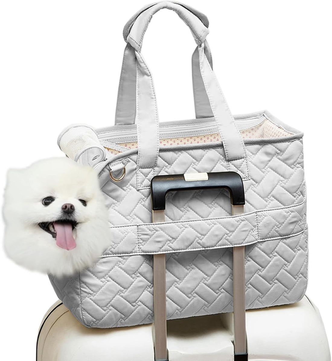 Pet Carrier Tote Breathable Mesh Soft Cushion Bag