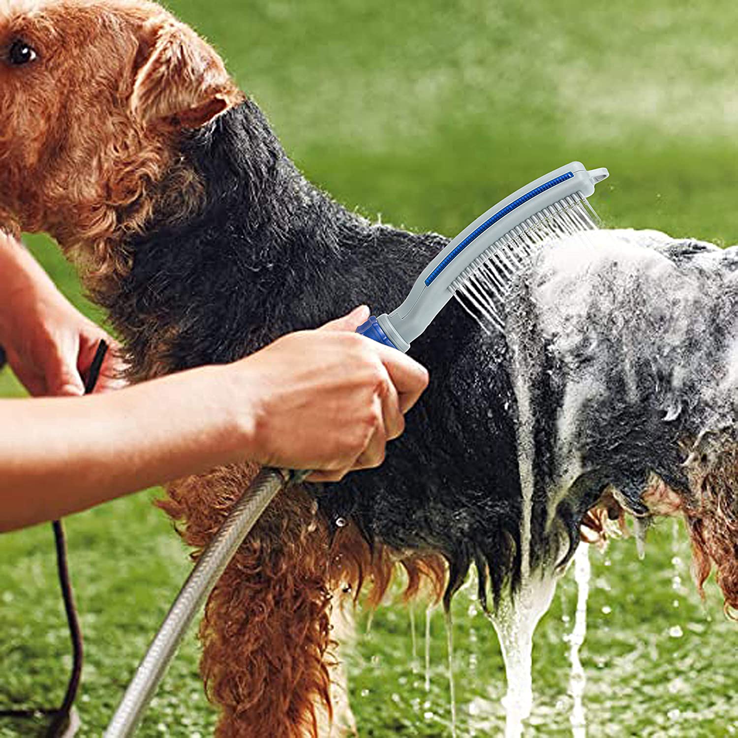 Water Hose Bath Shower Grooming Pet Brush