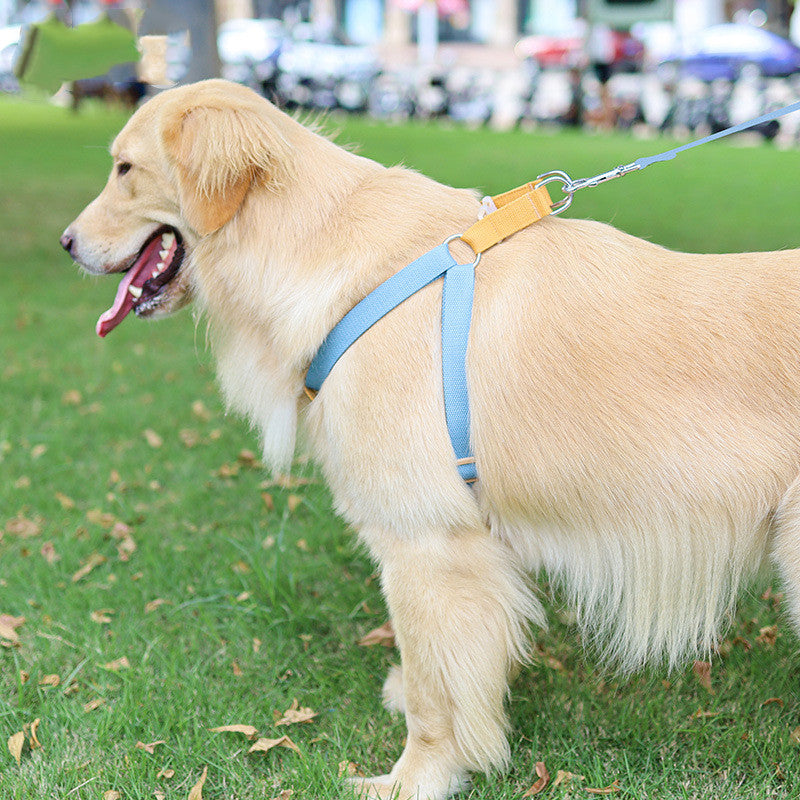 Color Drawstring Pet Vest Style Harness Leash Adjustable Walking Lead