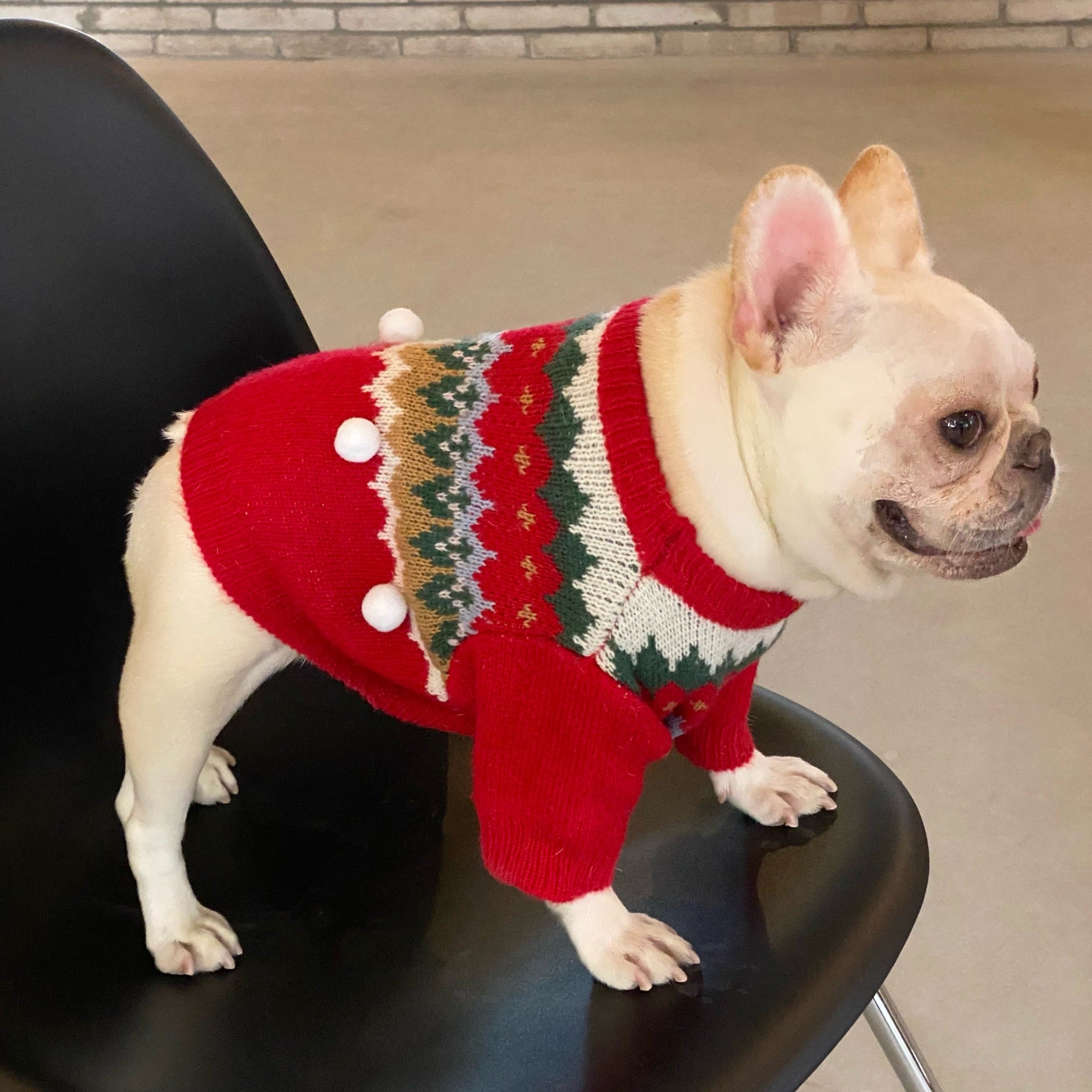 Festive Pet Christmas Sweater Cute Holiday Design