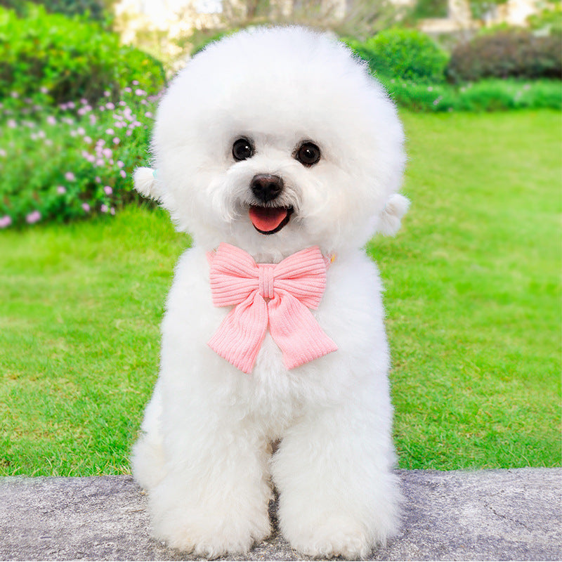 Pet Harness And Leash Set For Outdoor Use