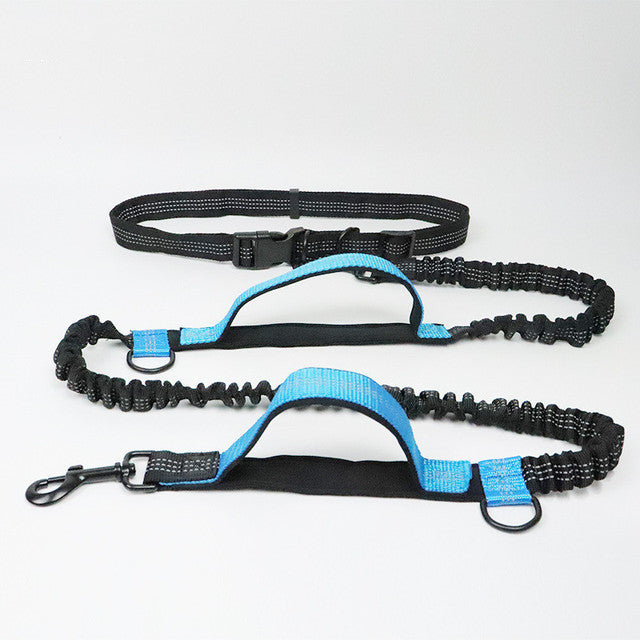 Adjustable Pet Harness And Leash Set Jogging Walking Gear
