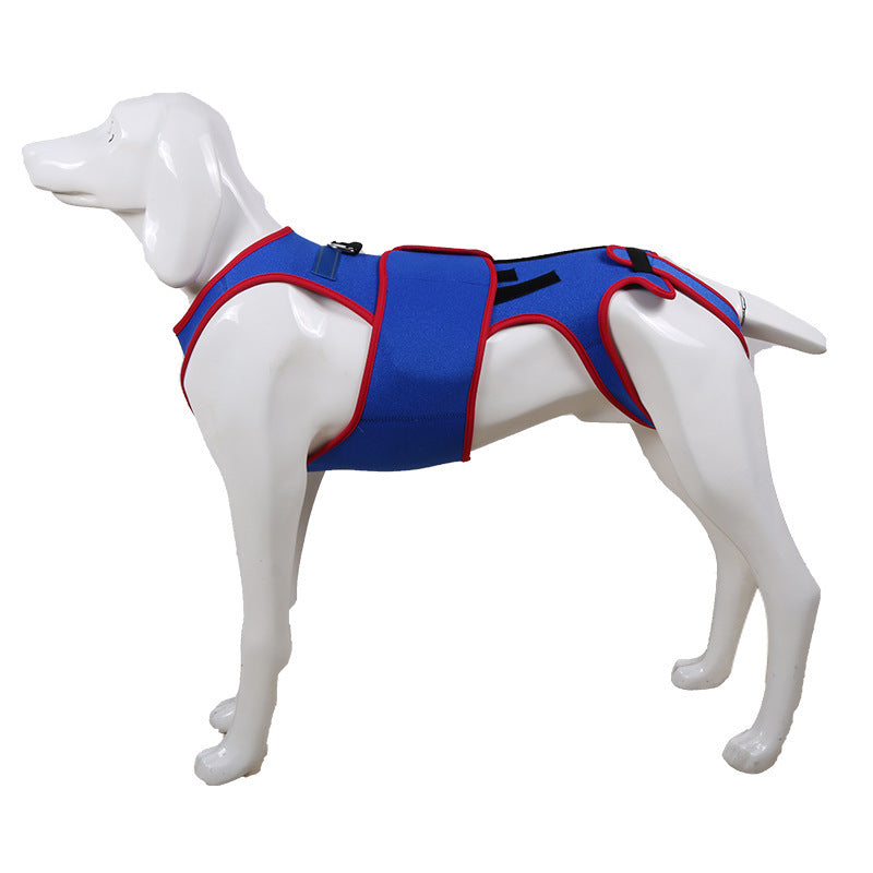 Pet Spine Support Jacket For Posture Correction Comfort