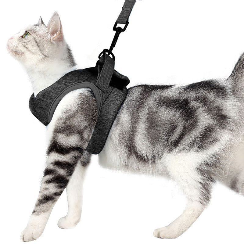 Breathable Lightweight Pet Chest Harness Lace Rope Leash